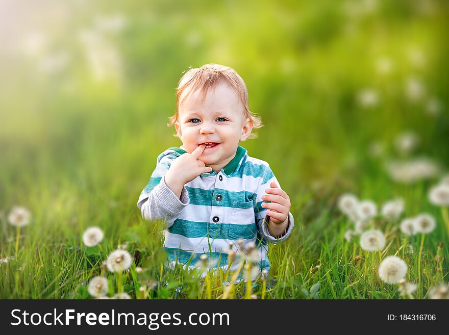 Beautiful baby in a meadow with dandelions in the sunlight. The concept of a happy childhood and childrens insurance, summer outdoor recreation, summer vacation. Beautiful baby in a meadow with dandelions in the sunlight. The concept of a happy childhood and childrens insurance, summer outdoor recreation, summer vacation