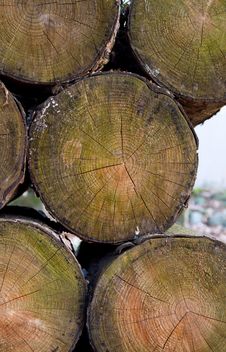 Cut Logs On Pile Royalty Free Stock Photos Cut Logs On Pile Royalty Free Stock Photos