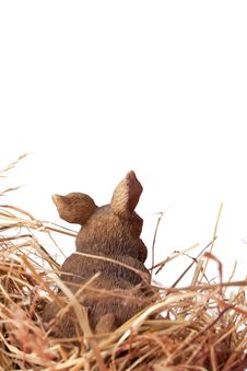 Bunny In A Basket Stock Photography