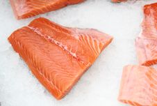 The Cooled Fish Stock Image The Cooled Fish Stock Image