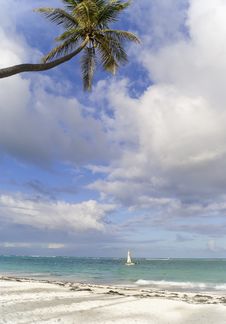 The Small Sailing Boat Near Caribbean Beach Royalty Free Stock Images The Small Sailing Boat Near Caribbean Beach Royalty Free Stock Images