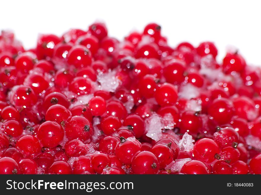 Berries   currant  frozen  isolated on the white