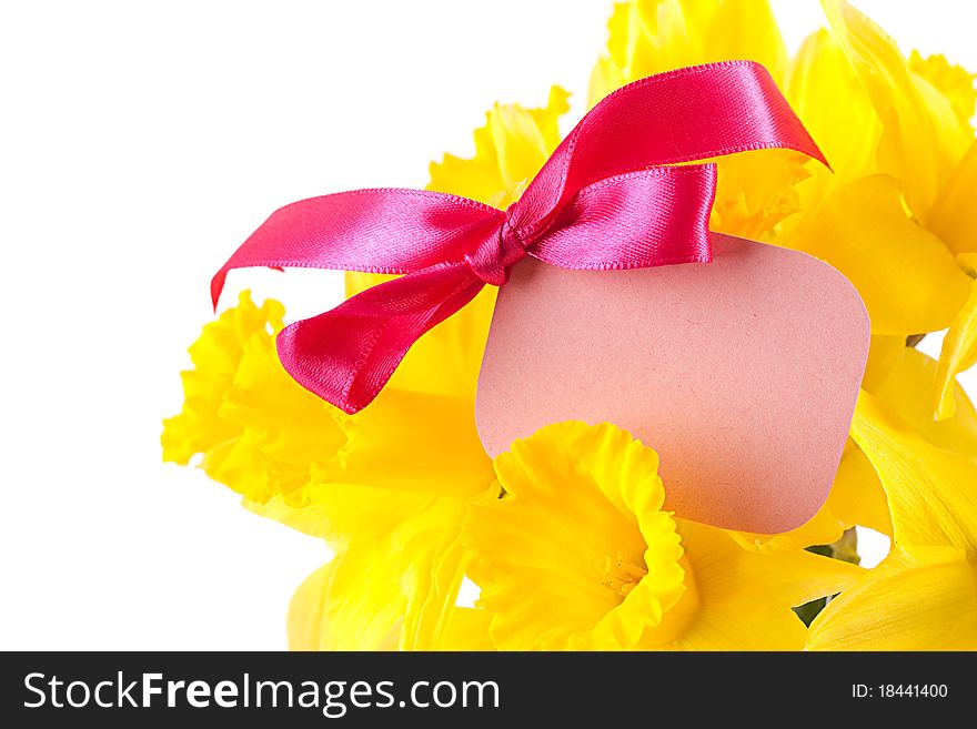 Daffodils with label isolated on white background