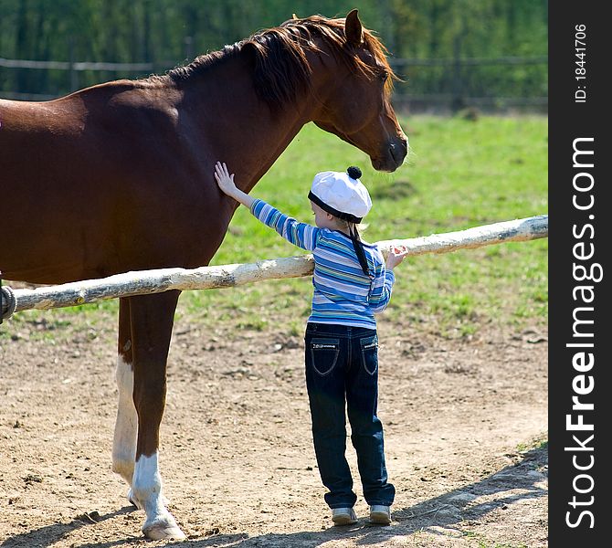 He girl stood on tiptoe and petting a horse. He girl stood on tiptoe and petting a horse