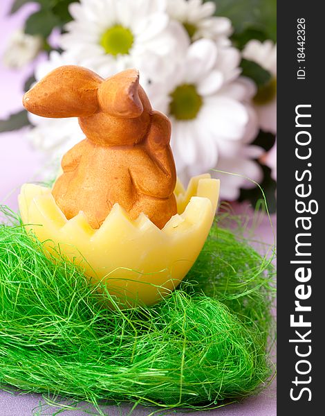 Easter bunny in eggshell on green grass. Easter bunny in eggshell on green grass