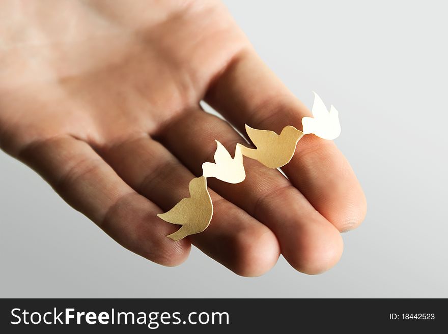 Human holding little paper cutout birds, nature protect concept. Human holding little paper cutout birds, nature protect concept