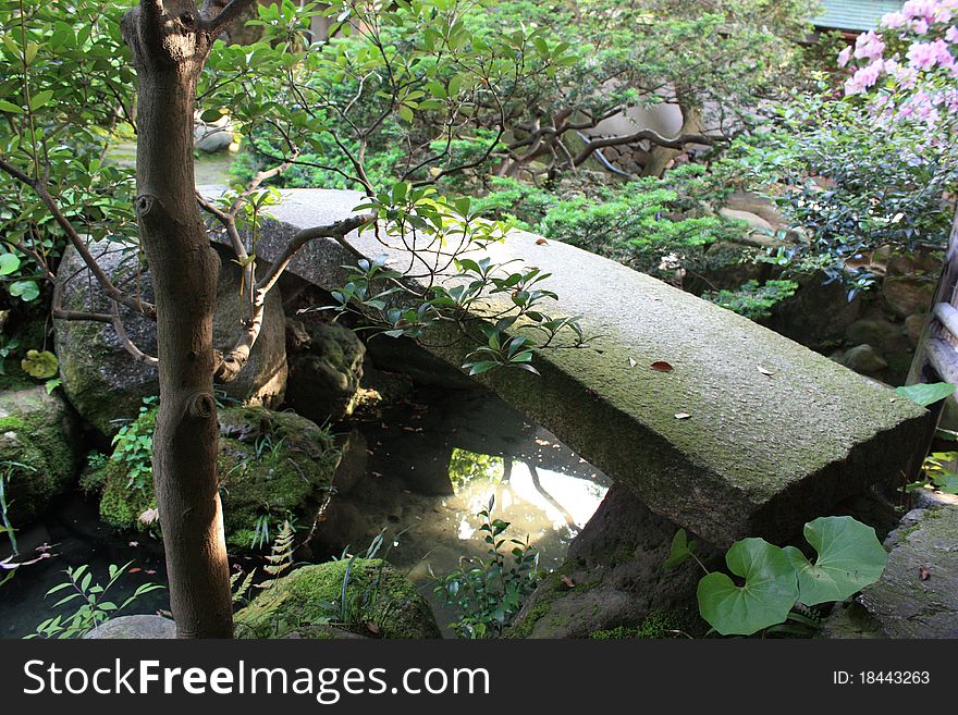 Japanish garden near water.Sacura at may. Japanish garden near water.Sacura at may.