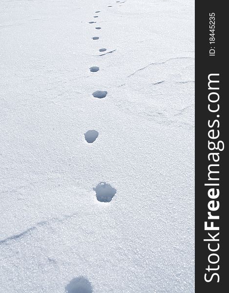 Some footsteps in the snow