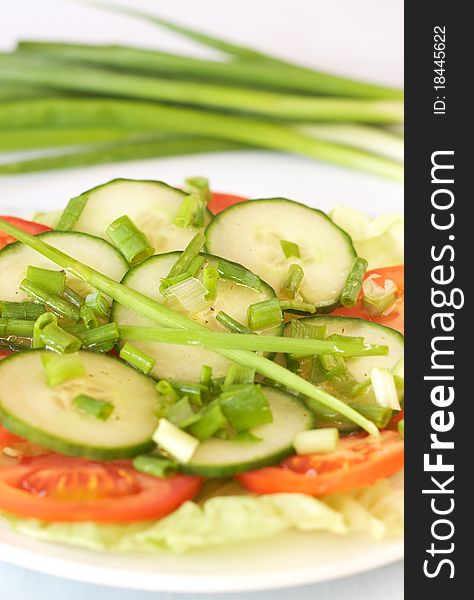 Fresh salad with cucumber, tomato and lettuce, with spring onions and chives garnish on white plate. Fresh salad with cucumber, tomato and lettuce, with spring onions and chives garnish on white plate