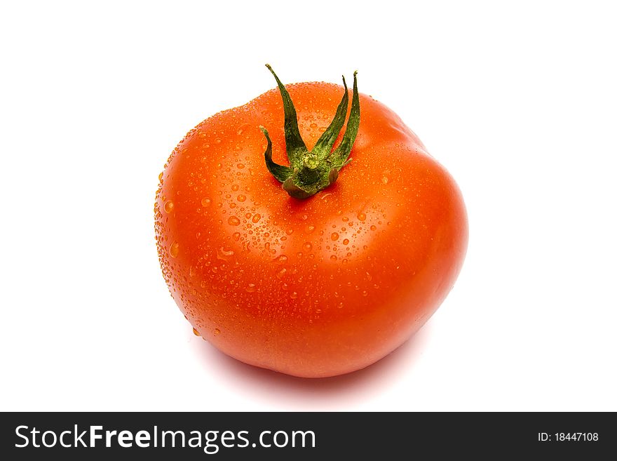 Fresh tomato with waterdrops on white
