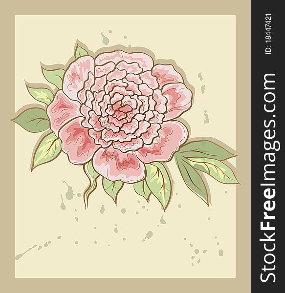 Vintage background with pink peony