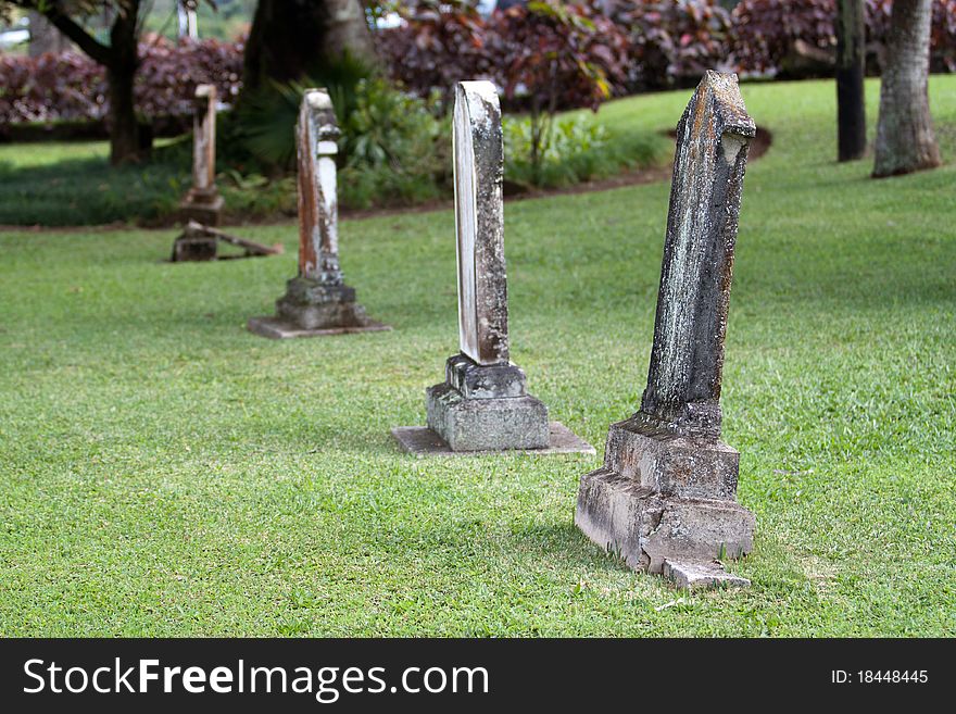 Old Tombstones in a Cemetery