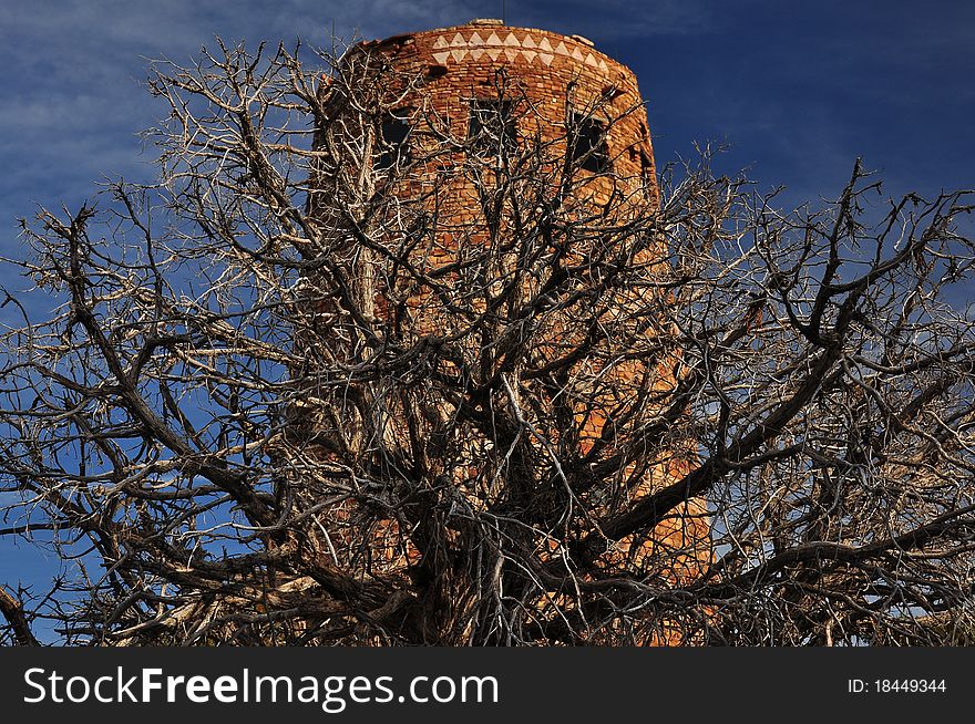 Grand Canyon Desert View Watchtower with dry tree