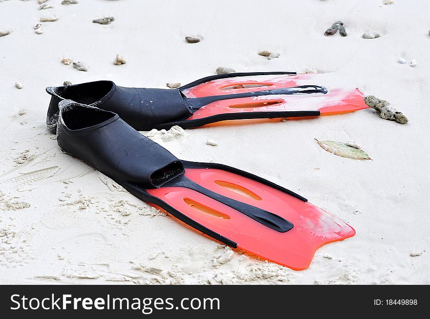 Snorkeling Or Scuba Fins