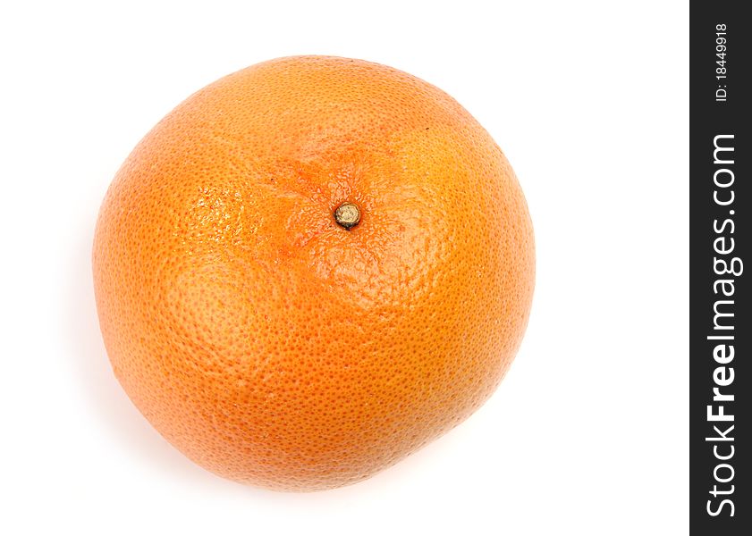 Large Grapefruit Closeup