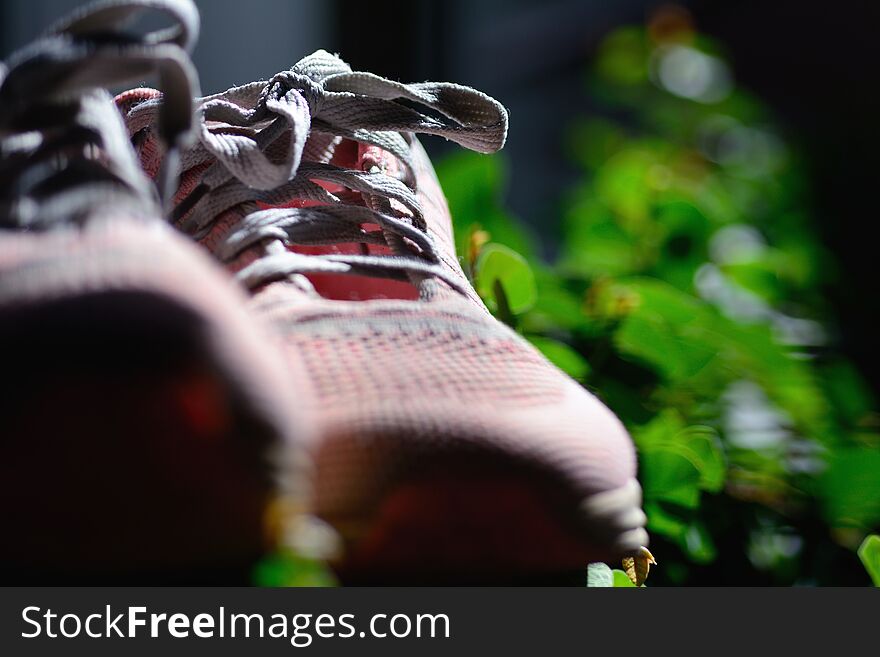 Modern pink sport shoes with gray shoelace on natural background