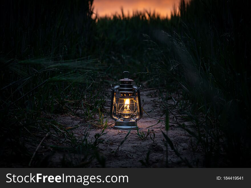 A burning lantern stands in a cornfield at dusk