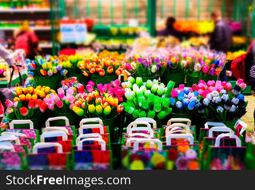 Beautiful colorful flowers in flower shop. Blurred abstract interior background
