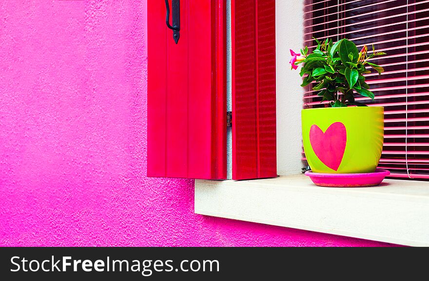 Window with pink shutters on the pink facade of the house. Flower in green pot on the window. Colorful architecture in Burano, Venice, Italy
