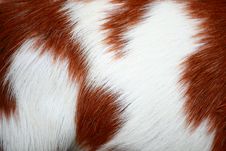 Goat Fur Background Royalty Free Stock Photo Goat Fur Background Royalty Free Stock Photo