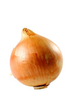 Onion Closeup Stock Photo Onion Closeup Stock Photo