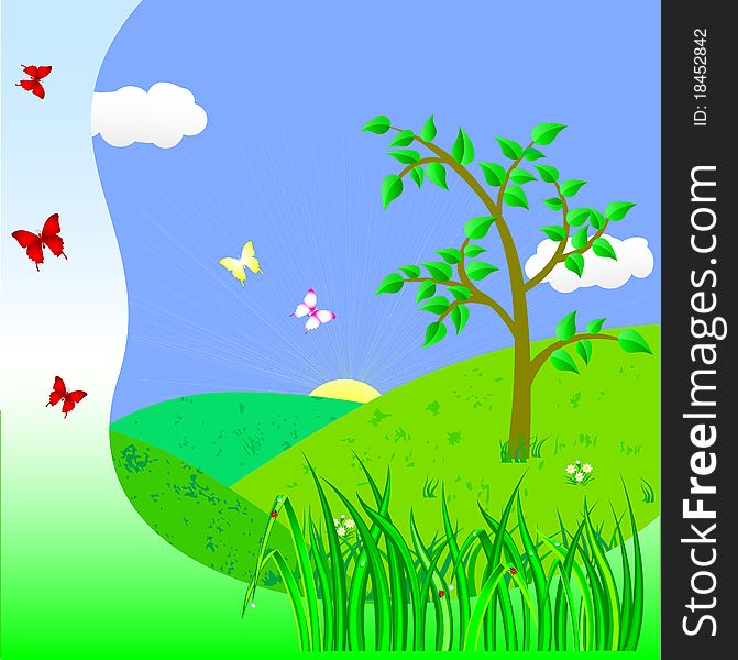 Landscape with tree and butterflies. Landscape with tree and butterflies.