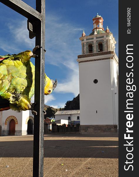 A parrot looks at Copacabana Basilica in Bolivia. A parrot looks at Copacabana Basilica in Bolivia.