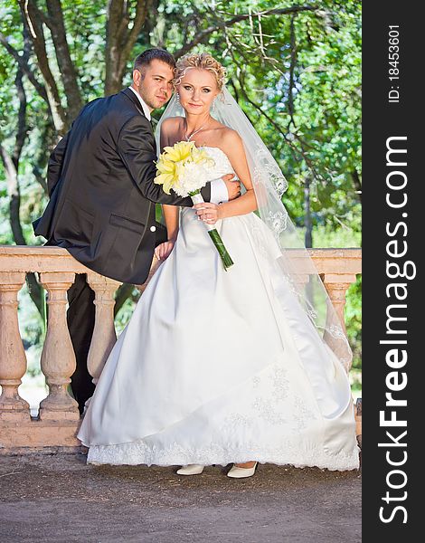 The groom and the bride in park during walk. The groom and the bride in park during walk