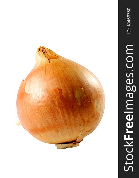 Closeup of big onion isolated over white. Closeup of big onion isolated over white