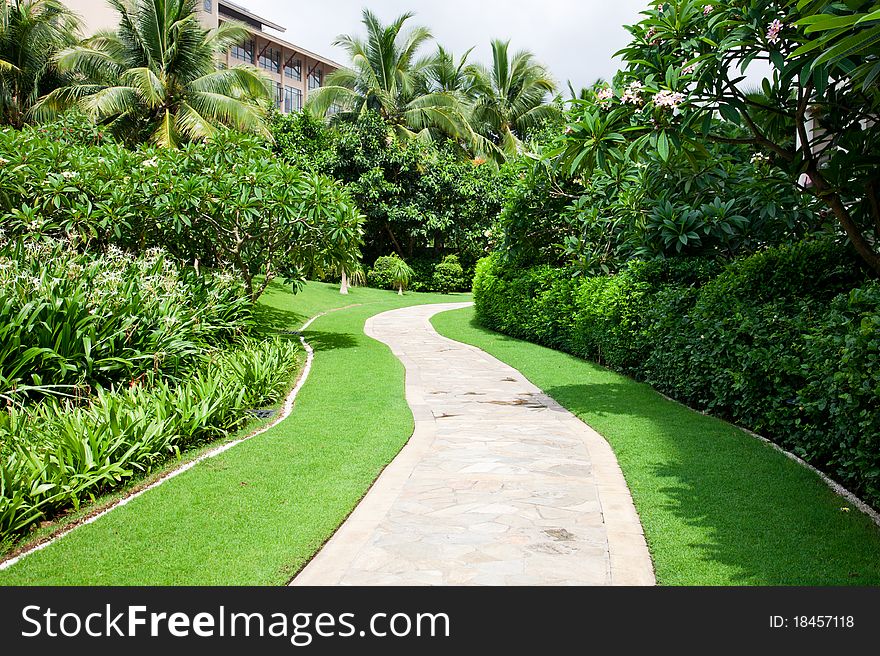 Tropical garden path through lawn.