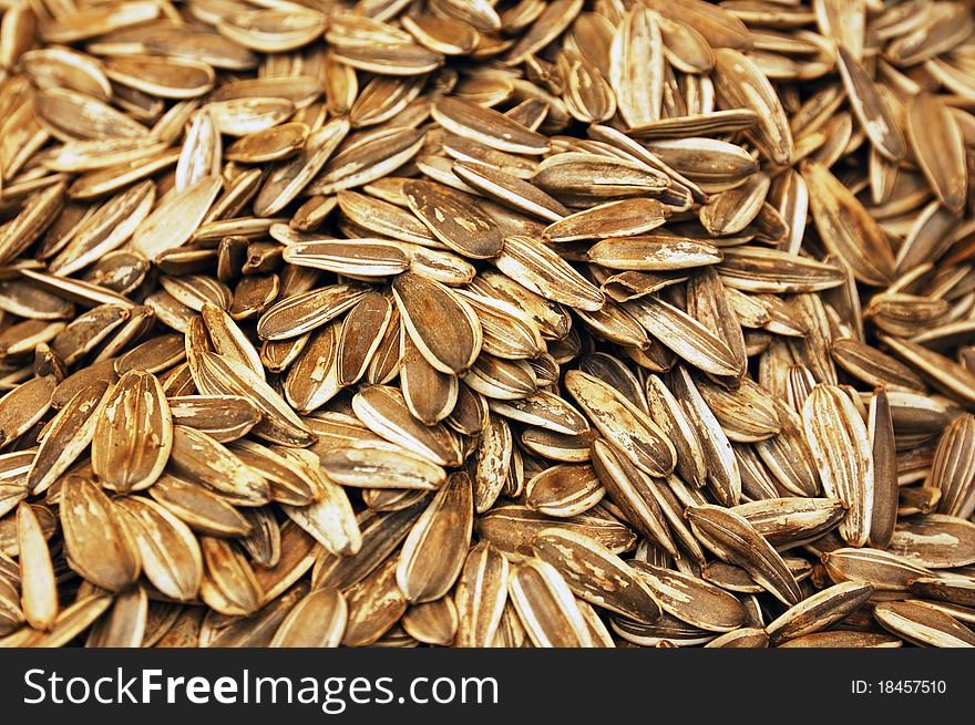 Close up of punpkin seeds on market stand