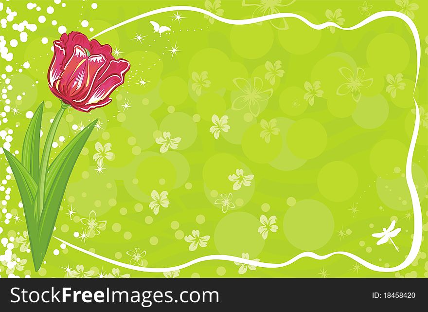 Spring red tulip illustration