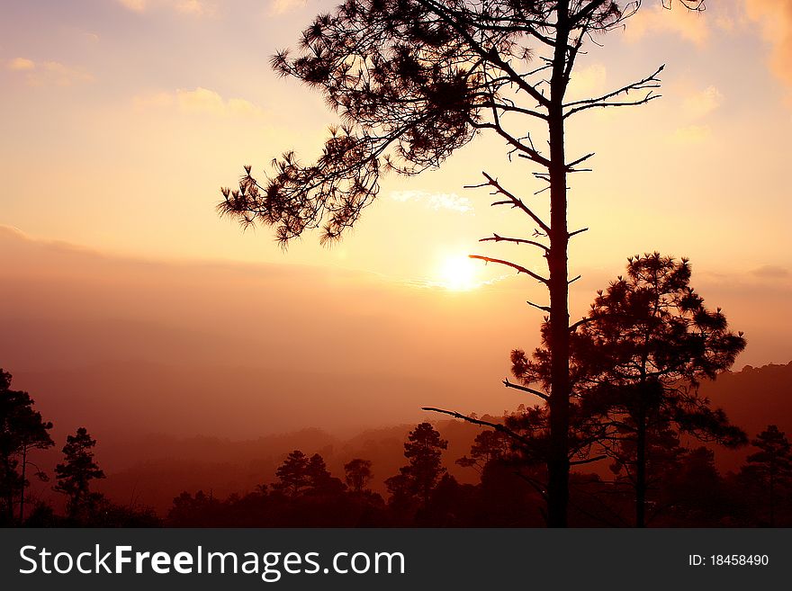 Tree and sunset at Huang Num Dung,Thailand