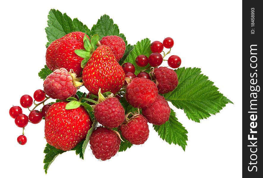 A pile of fresh ripe strawberries raspberries and currant. A pile of fresh ripe strawberries raspberries and currant