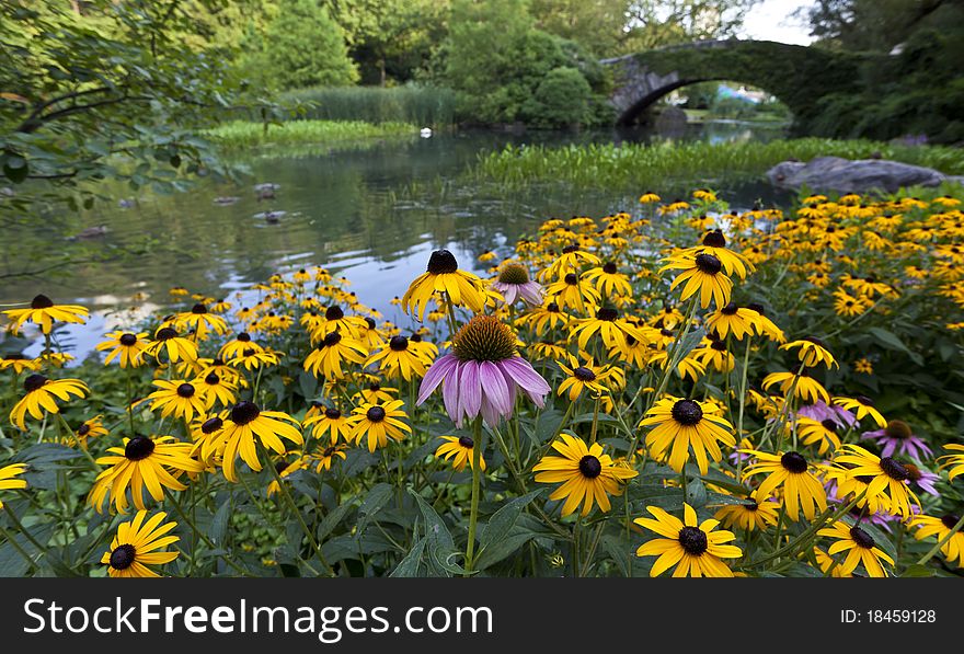 Gapstow bridge in summer central park, New York City