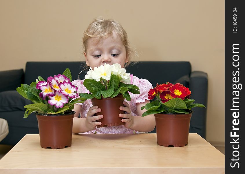 Girl sitting at a table and holding flowers in her hands. Girl sitting at a table and holding flowers in her hands