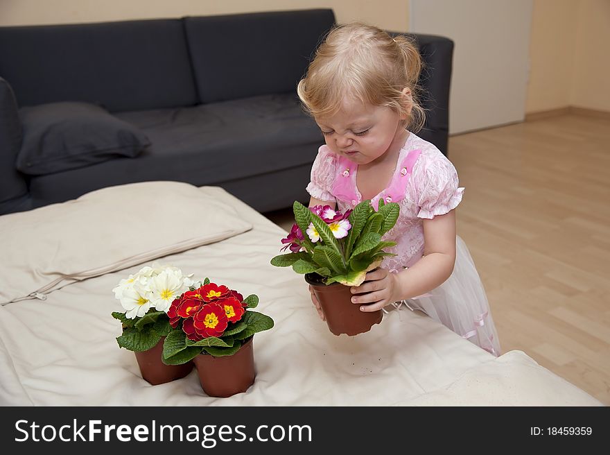 Girl smelled the pink flower and puts it now on the sofa next to the other two. Girl smelled the pink flower and puts it now on the sofa next to the other two