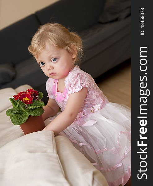Girl sits on the floor next to the sofa and holds red flower in the pot. Girl sits on the floor next to the sofa and holds red flower in the pot