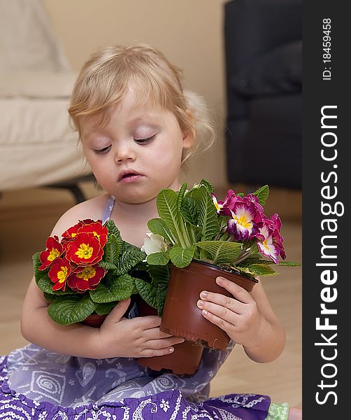 Girl sits on the floor and holds flowers in pots in her hands. Girl sits on the floor and holds flowers in pots in her hands