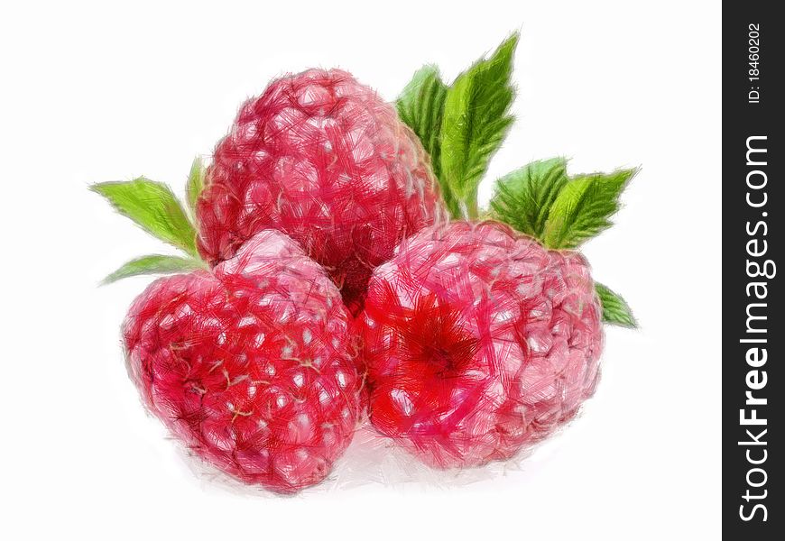 Raspberry - 3 Raspberries