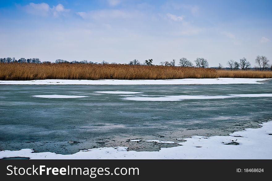 Frozen pond scenery with horizon with reed  with blue sky with clouds on background.