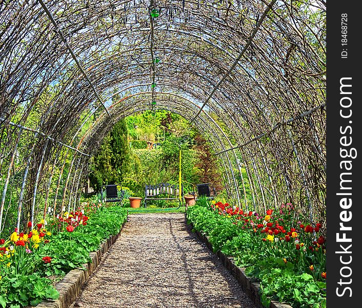 Garden path under flowers arches. Garden path under flowers arches