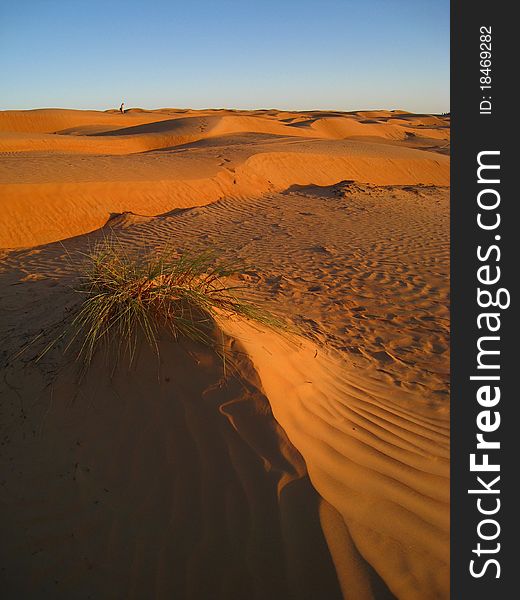 The twilight in the arabic desert