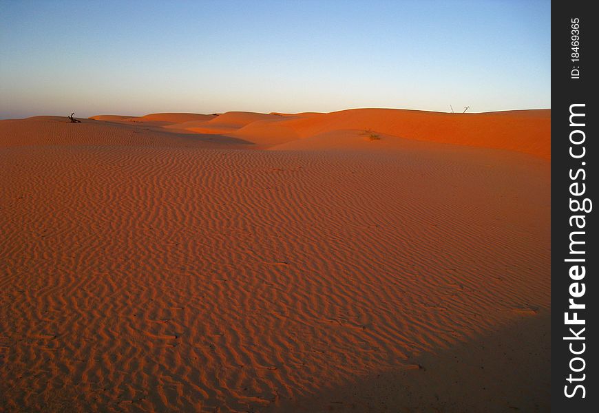 The twilight in the arabic desert