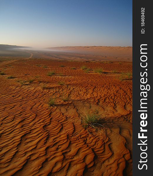 The twilight in the arabic desert