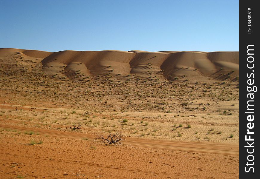 The dunes of the arabic desert