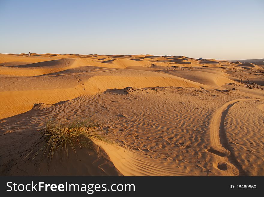 The dunes of the arabic desert