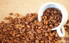 Cup Filled With Coffee Beans Royalty Free Stock Photo Cup Filled With Coffee Beans Royalty Free Stock Photo