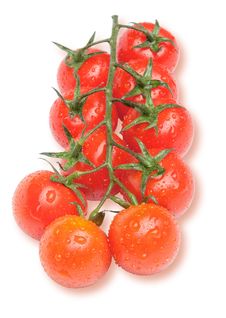 Cherry Tomatoes On The Branch With Water Drops Royalty Free Stock Photo