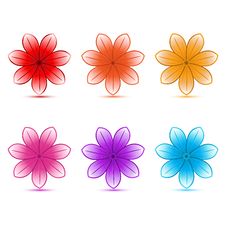 Colorful Flowers Royalty Free Stock Photos Colorful Flowers Royalty Free Stock Photos